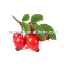 Manufacturer supply food grade organic rosehips fruits extract